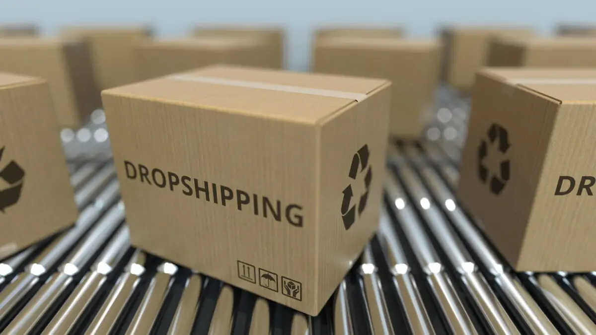 types of dropshipping platforms        <h3 class=
