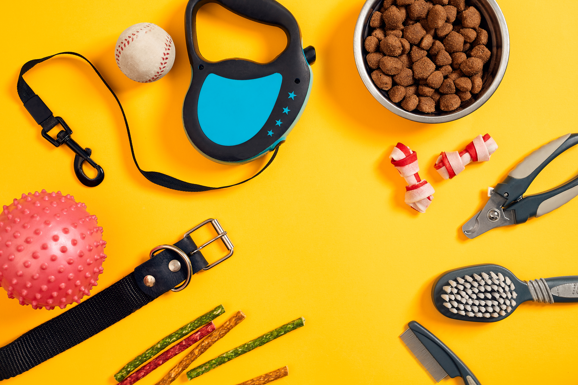 Dog accessories on yellow background. Top view. Pets and animals concept